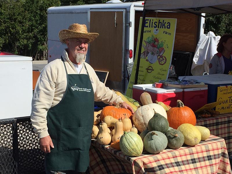 Guess the weight of this pumpkin!