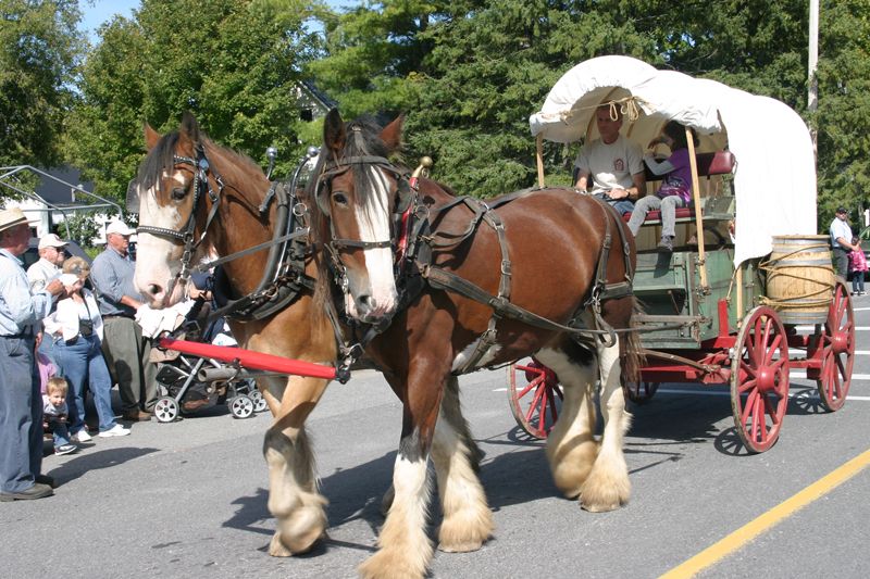 Old-fashioned fun at Harvest Fall Festival