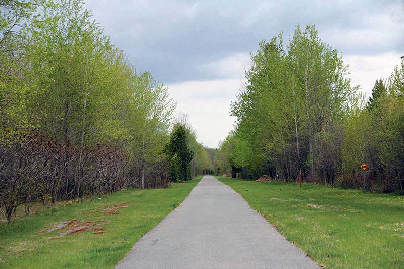 Trail closure would be a public health concern: EOHU