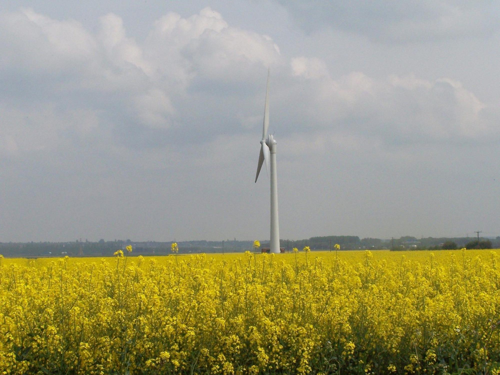 Wind farm opponents not finished in The Nation