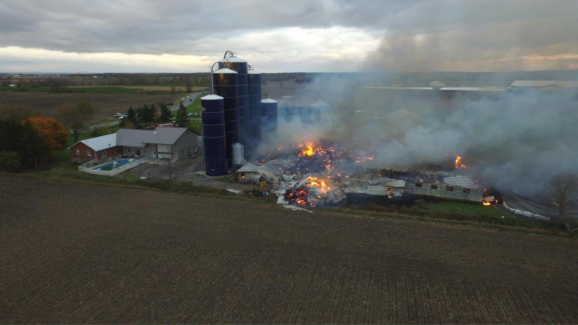 124 cows killed in farm fire near Maxville
