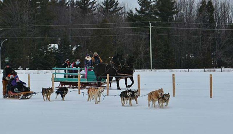 St-Bernardin winter carnival (Janice Winsor)