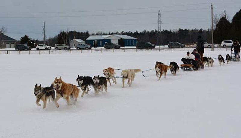 St-Bernardin winter carnival (Janice Winsor)
