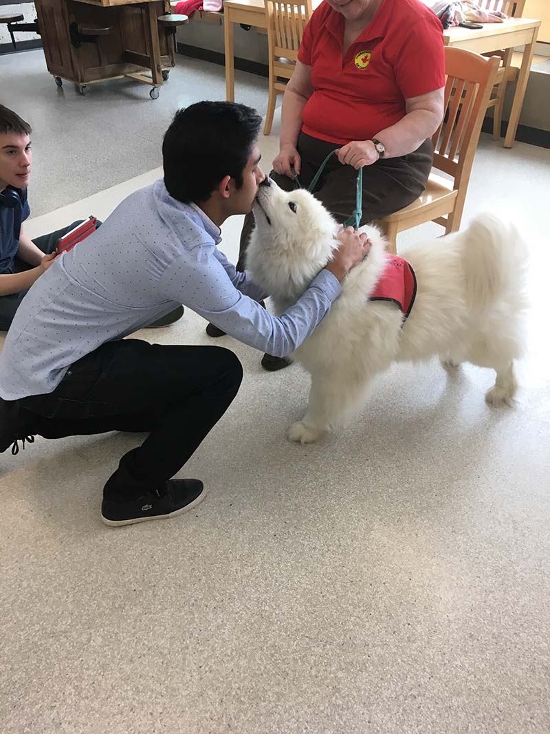 Pups prove popular at VCI