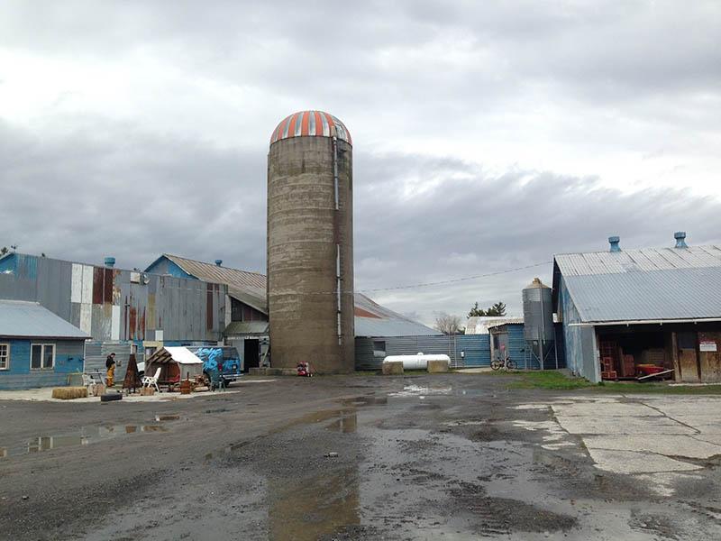 Artists chosen for silo murals
