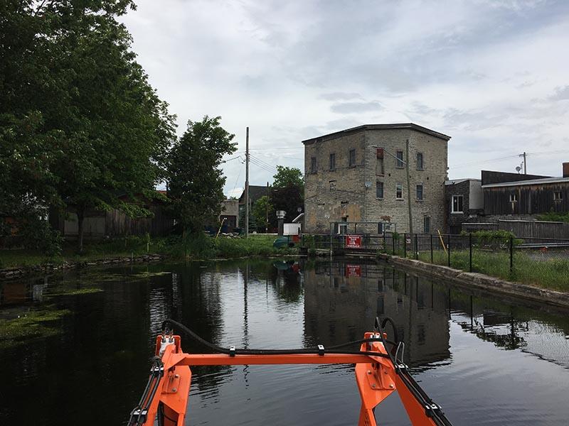 Stamping out Canada waterweed in Mill Pond