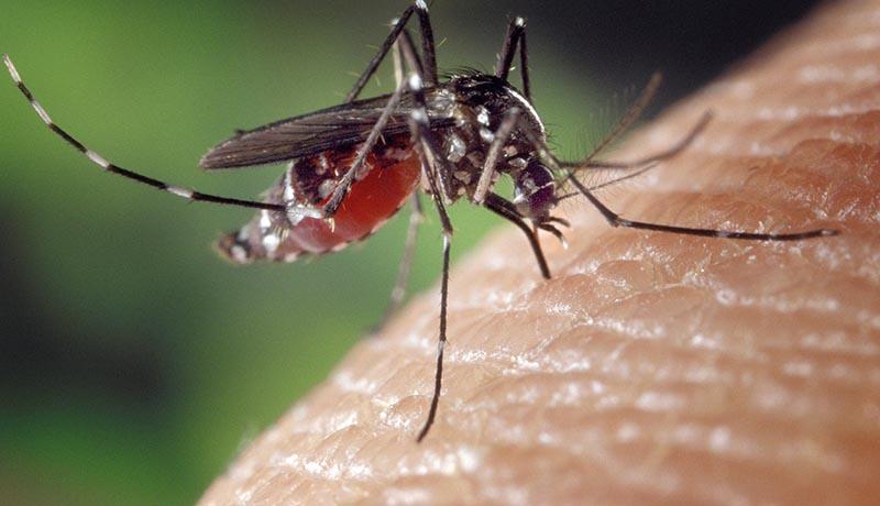Confirmed human case of West Nile virus in our area