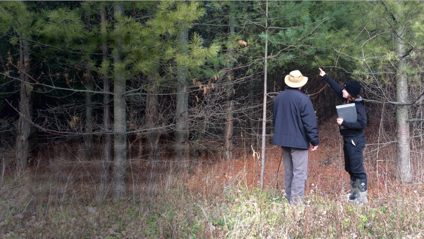 SNC’s woodlot advisory service now offered in Stormont, Dundas and Glengarry