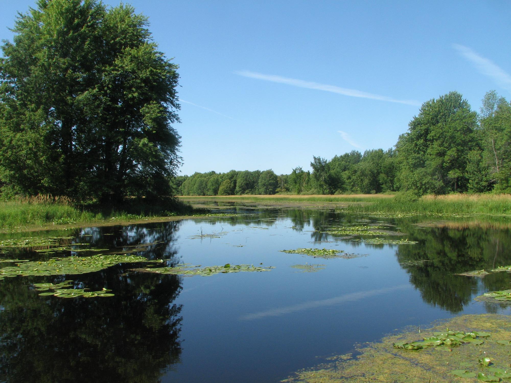 Public lands are focus of South Nation wetland restoration plan