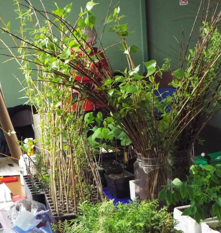 Musings on sustainability
