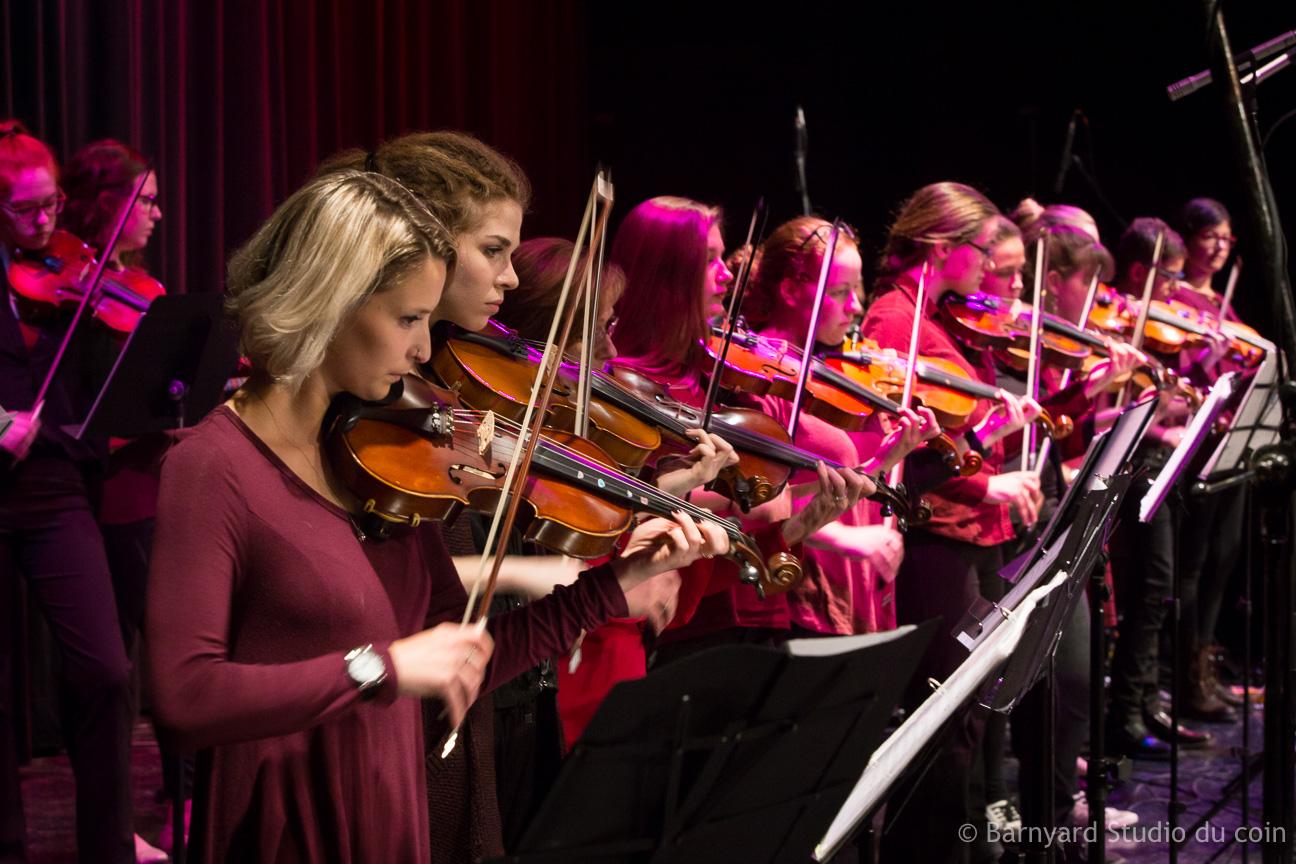 Wood that sings: Violins and woodwind instruments