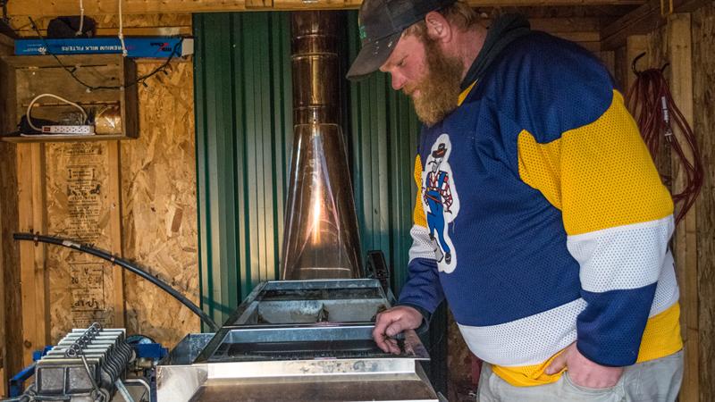 Fine and Dandy: A true (and sweet) labour of love