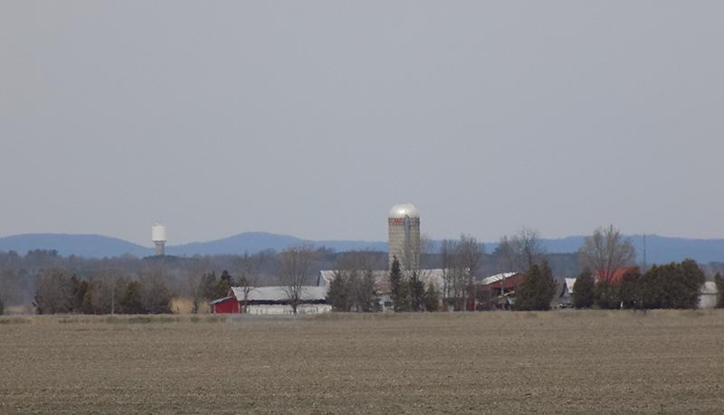 Glengarry-Prescott-Russell candidates talk about rural and agricultural issues