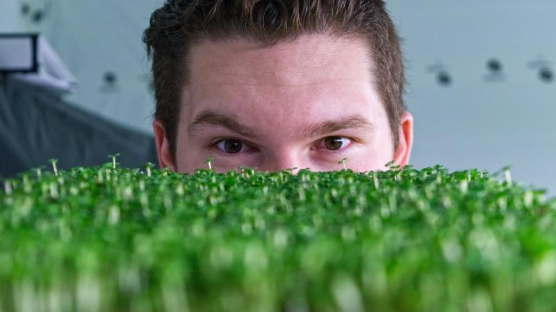 Kyan Culture provides a fresh take on agriculture and healthy living with microgreens
