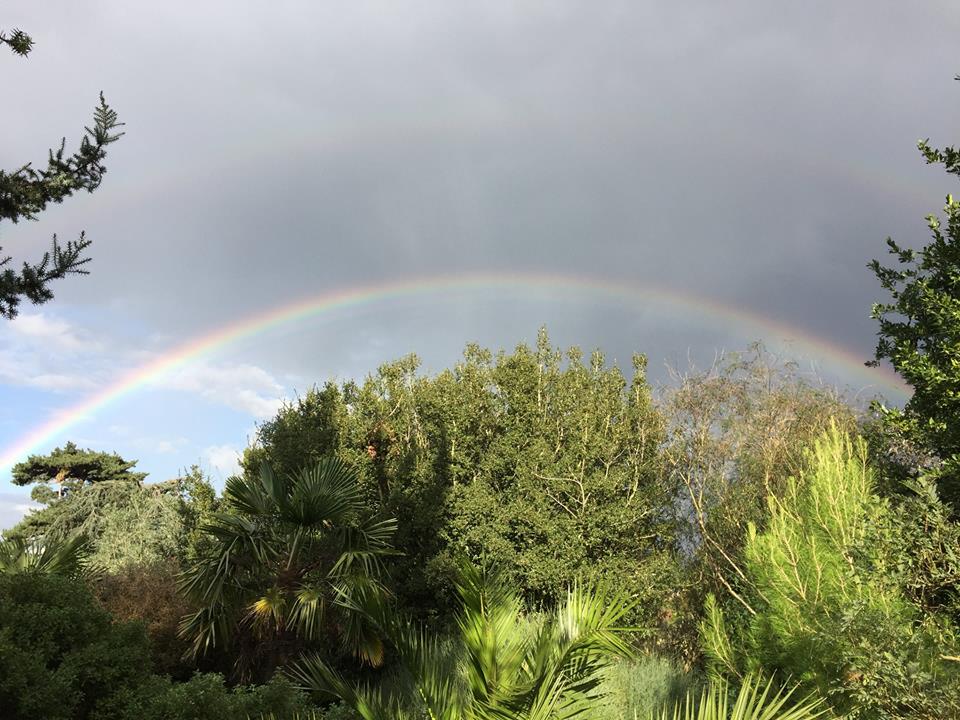 Rainbows all around