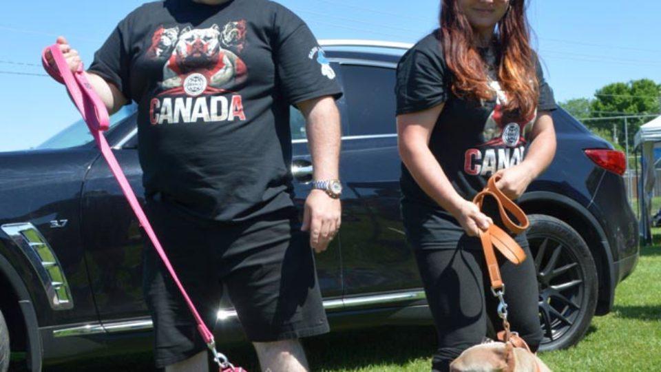 Submitted_American Bully dog show (organizers)_WEB