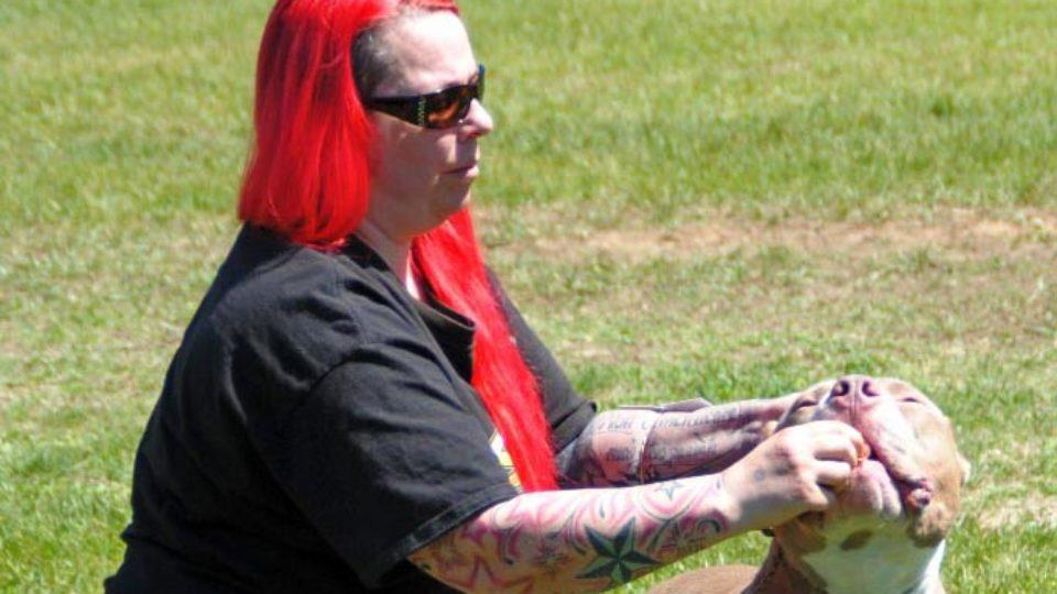 Submitted_American Bully dog show_WEB_4