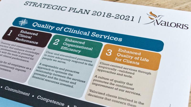 Valoris 2018-2021 Strategic Plan –  bridging the gap between people and statistics