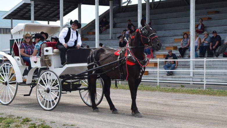 SGM_Horse Buggy Strawberry Social 2018 07 08 (123)