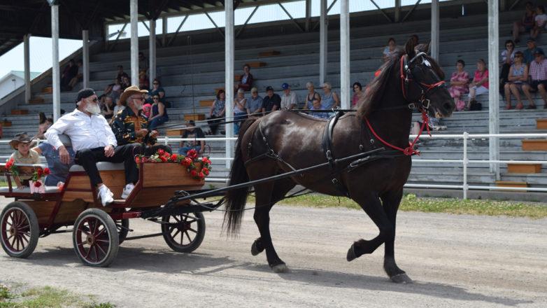 SGM_Horse Buggy Strawberry Social 2018 07 08 (130)