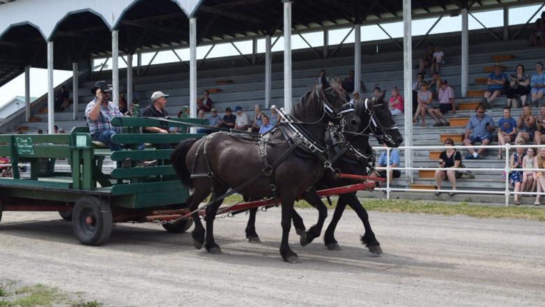 SGM_Horse Buggy Strawberry Social 2018 07 08 (139)