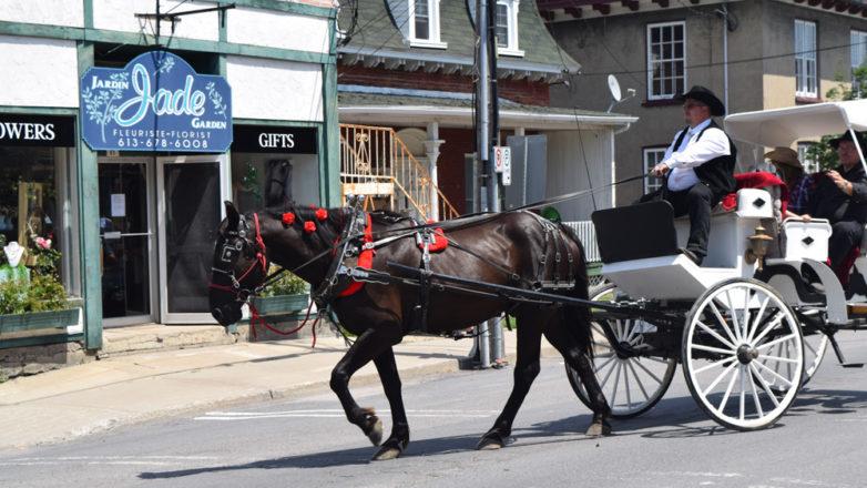 SGM_Horse Buggy Strawberry Social 2018 07 08 (14)