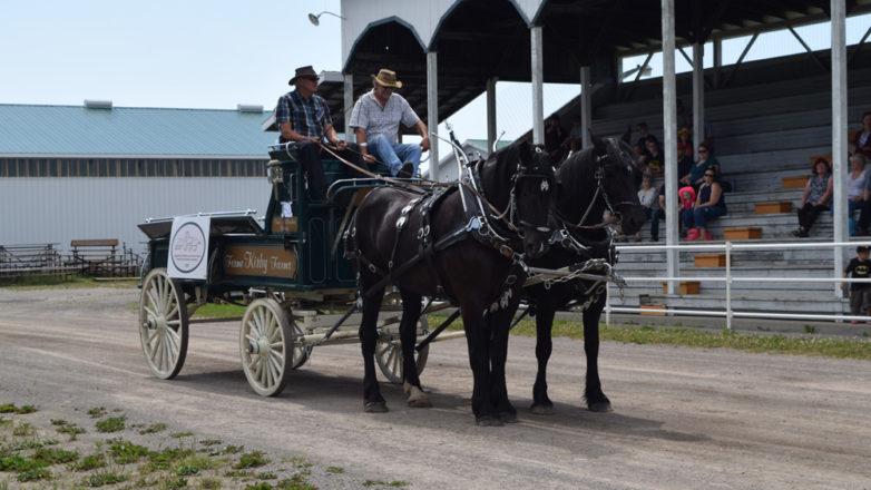 SGM_Horse Buggy Strawberry Social 2018 07 08 (146)