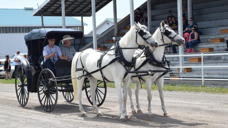 SGM_Horse Buggy Strawberry Social 2018 07 08 (157)