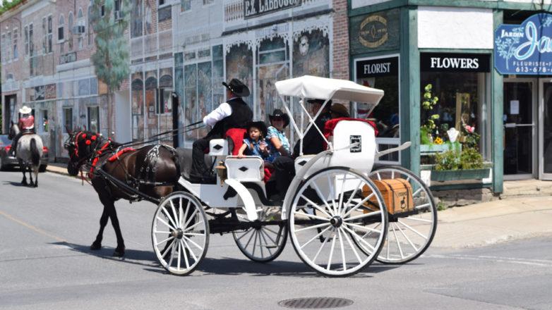 SGM_Horse Buggy Strawberry Social 2018 07 08 (16)