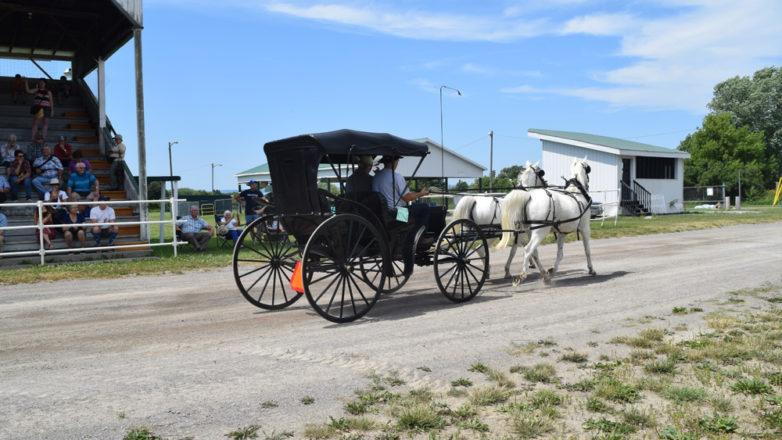 SGM_Horse Buggy Strawberry Social 2018 07 08 (162)