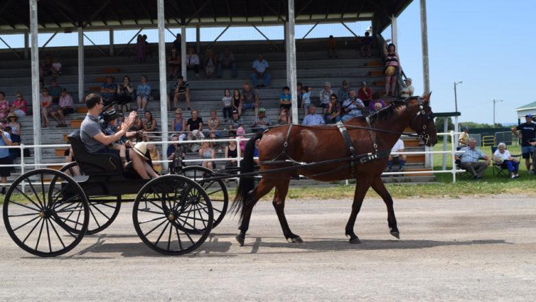 SGM_Horse Buggy Strawberry Social 2018 07 08 (164)