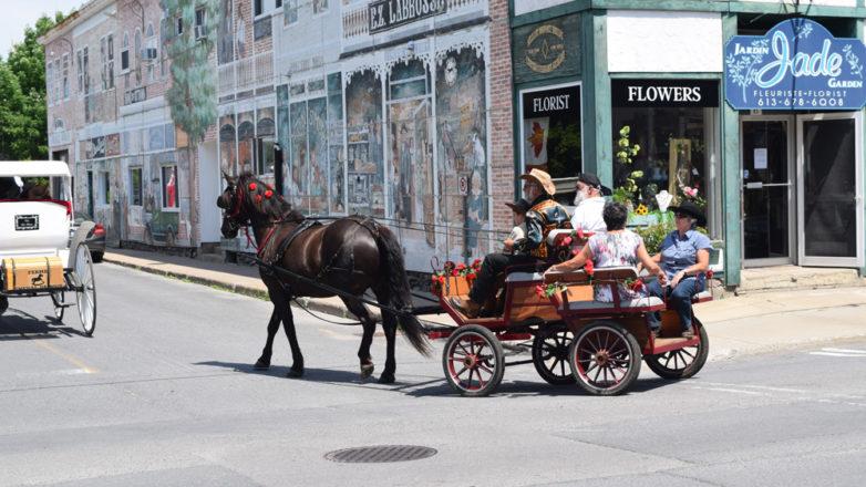 SGM_Horse Buggy Strawberry Social 2018 07 08 (17)