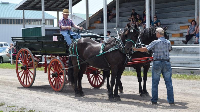 SGM_Horse Buggy Strawberry Social 2018 07 08 (180)