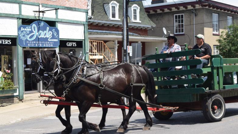 SGM_Horse Buggy Strawberry Social 2018 07 08 (21)