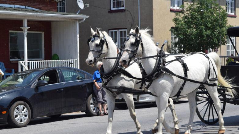 SGM_Horse Buggy Strawberry Social 2018 07 08 (32)