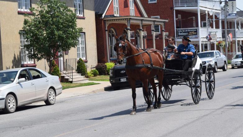 SGM_Horse Buggy Strawberry Social 2018 07 08 (35)