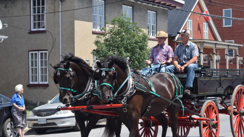 SGM_Horse Buggy Strawberry Social 2018 07 08 (45)