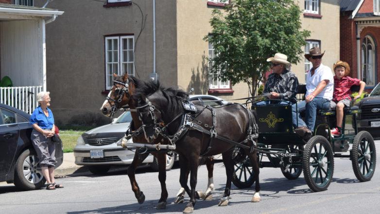 SGM_Horse Buggy Strawberry Social 2018 07 08 (48)