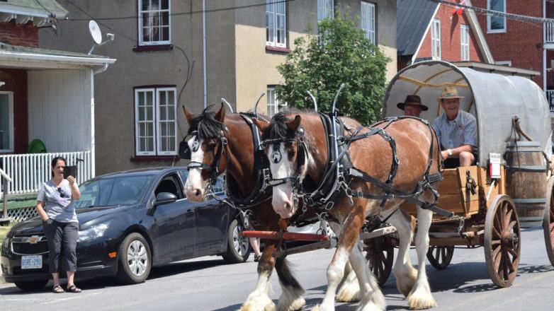 SGM_Horse Buggy Strawberry Social 2018 07 08 (62)
