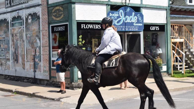 SGM_Horse Buggy Strawberry Social 2018 07 08 (70)