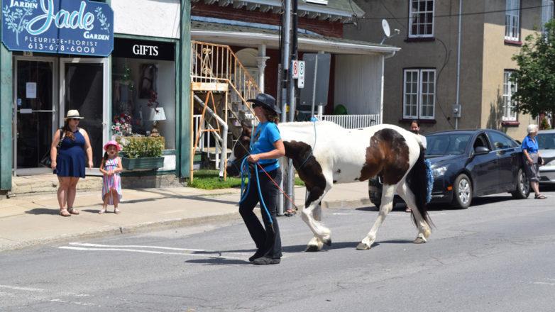 SGM_Horse Buggy Strawberry Social 2018 07 08 (81)
