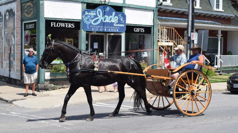 SGM_Horse Buggy Strawberry Social 2018 07 08 (83)