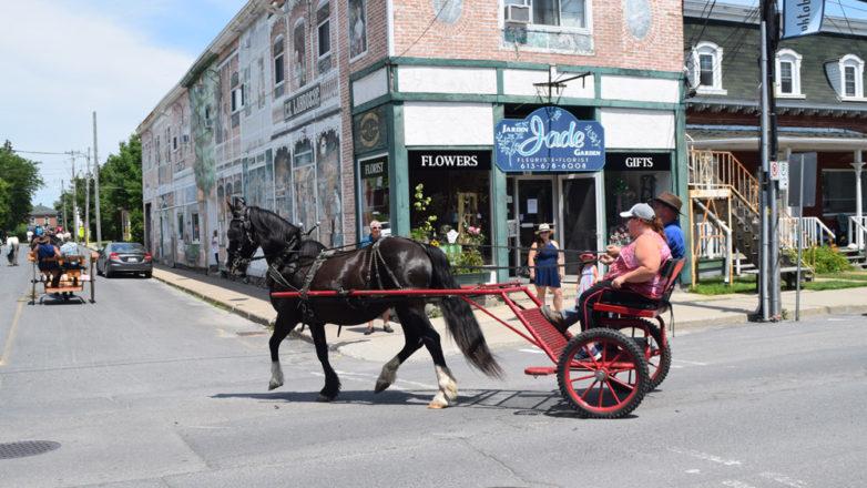 SGM_Horse Buggy Strawberry Social 2018 07 08 (85)