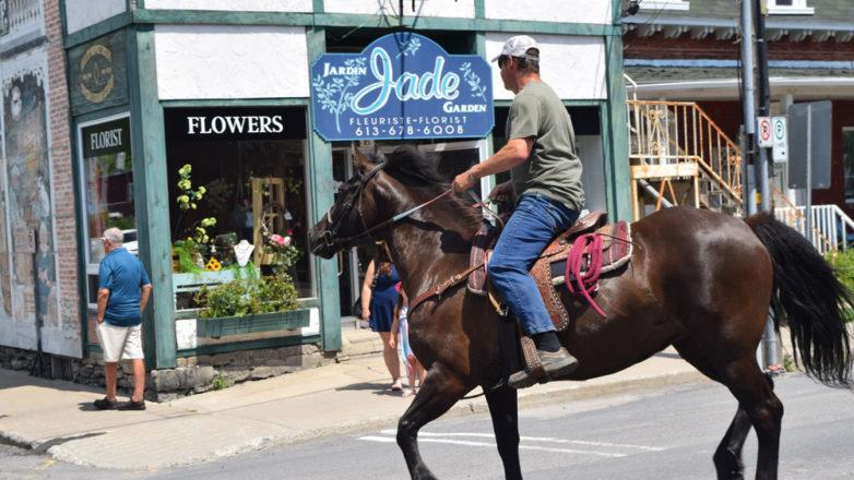 SGM_Horse Buggy Strawberry Social 2018 07 08 (89)