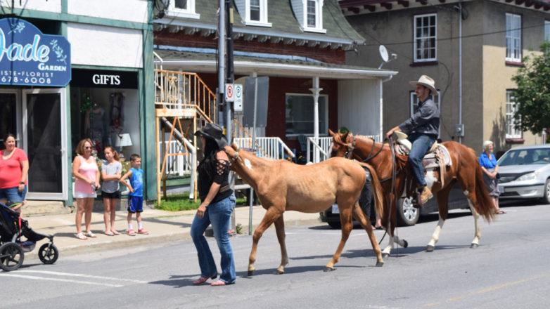 SGM_Horse Buggy Strawberry Social 2018 07 08 (96)