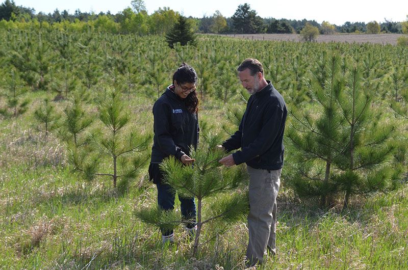 Plan before you plant: Start your site plans for Spring this Fall!