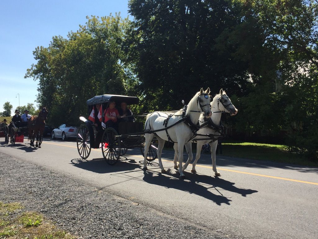 Old-fashioned fun this Sunday at the Harvest Fall Festival