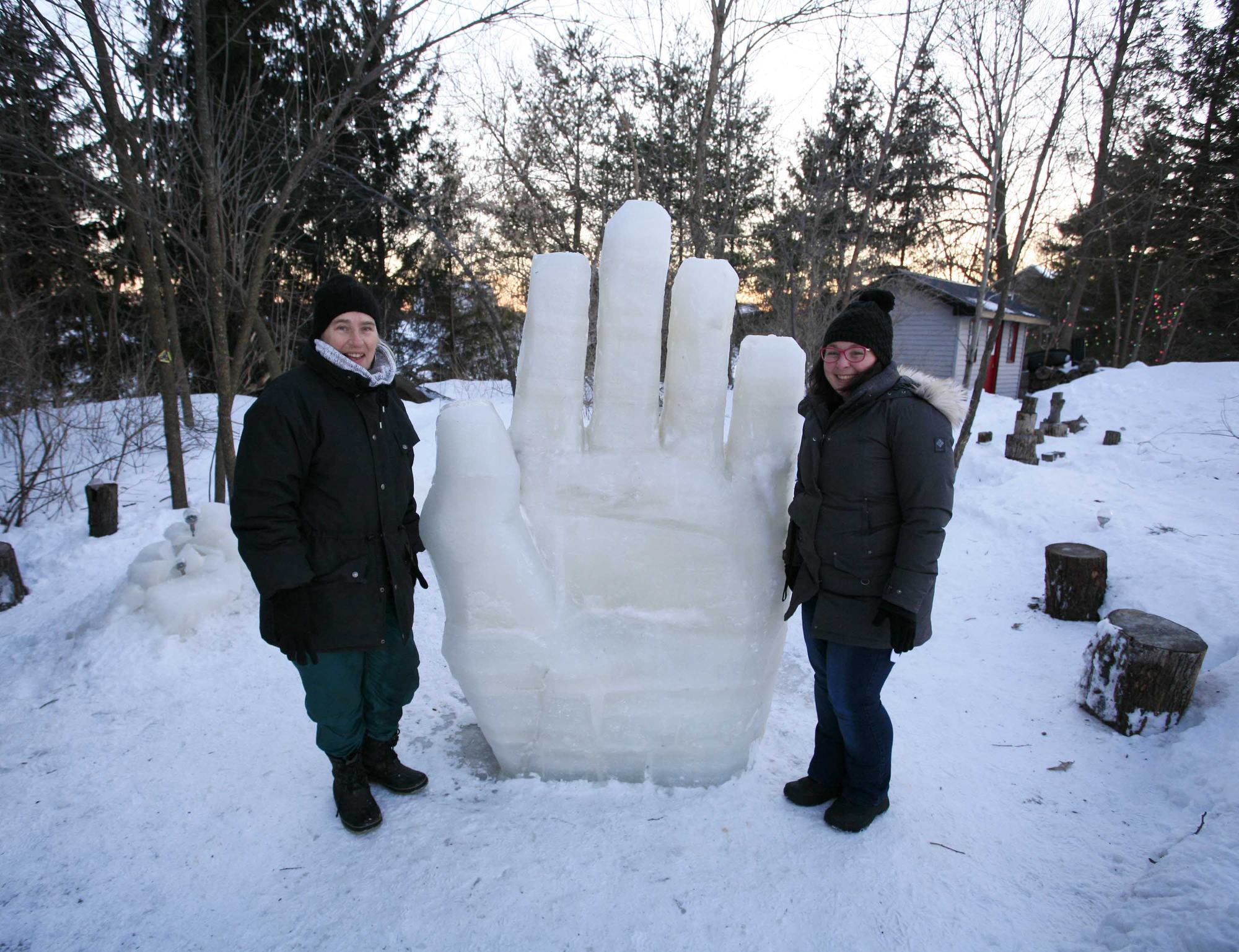 Inkidoo Art For You – Ice sculpture by Susan Valyi