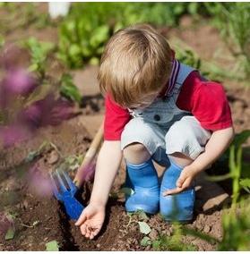 Children ages 5 and up can join Little Sprouts gardening program at Champlain Library!