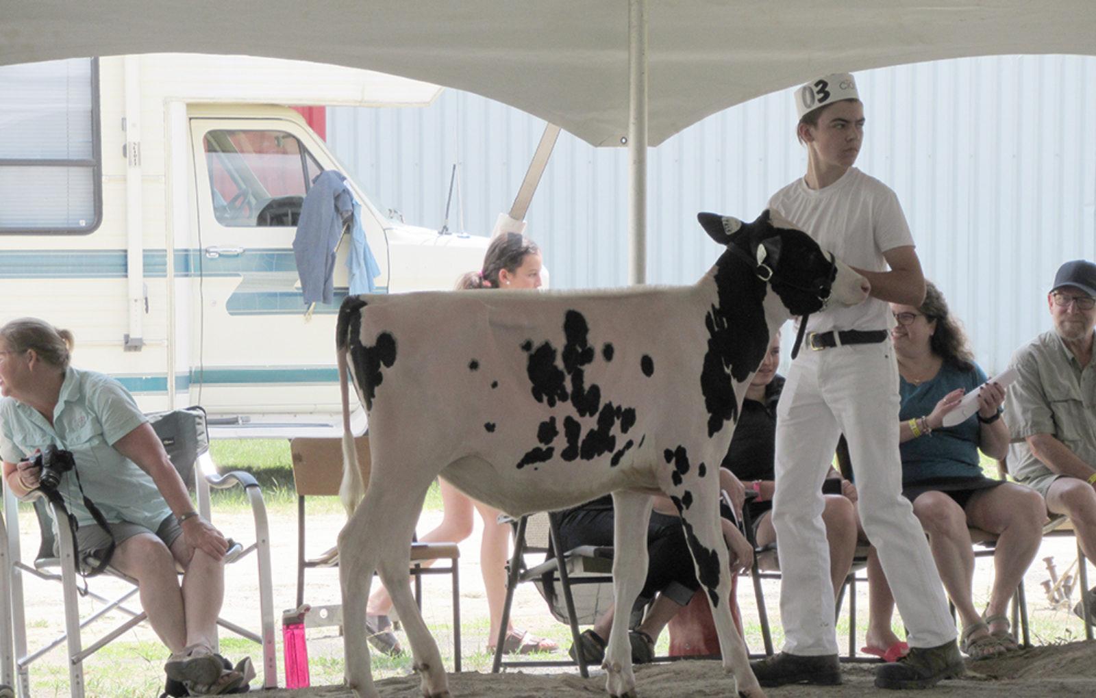 JM_JY1319_LachuteFairDairy02